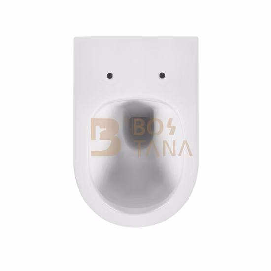 Mur en céramique d'articles sanitaires de conception populaire